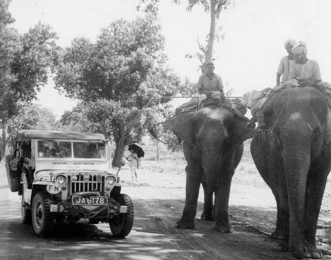 the_first_overland_elephant_pic