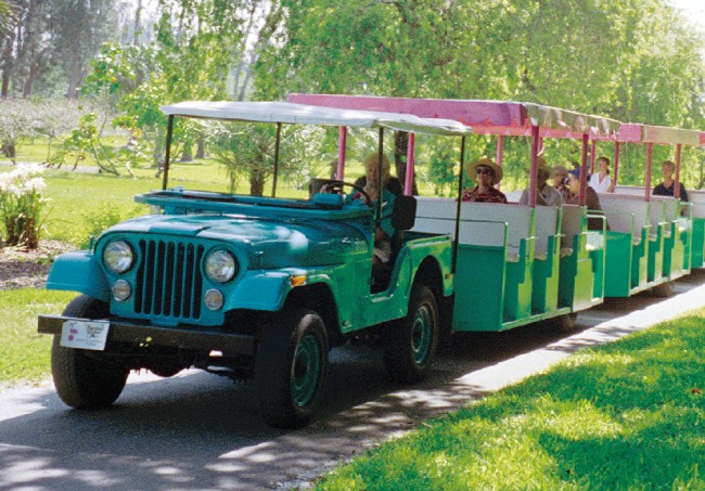 flamingo-gardens-jeep-tour-jeep3