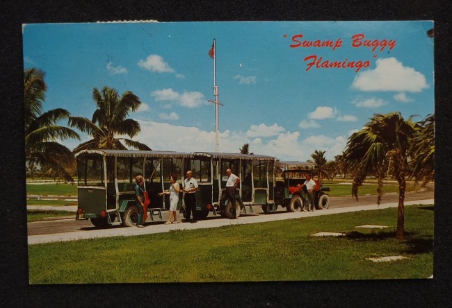 swamp-buggy-flamingo-fl-postcard