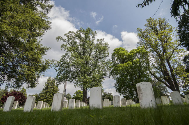 2013-5-20-gettysburg-monument-cemetary-lores