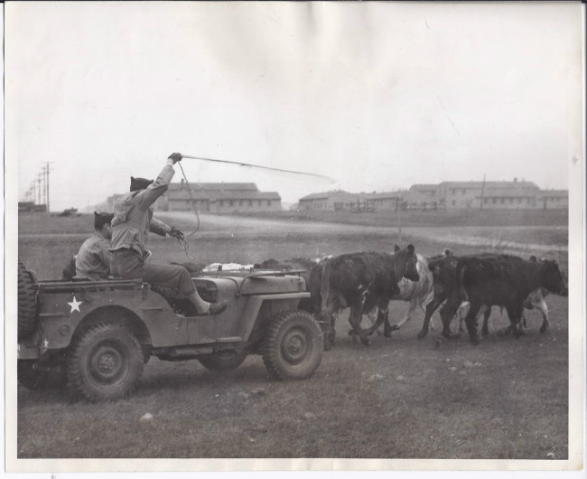 1944-herding-catle-camp-white-oregon