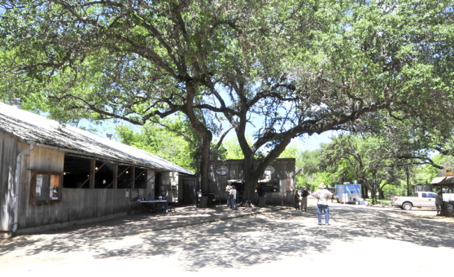 2015-05-01-luckenbach7