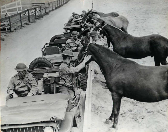 1942-05-04-troops-pet-horses-calvary1
