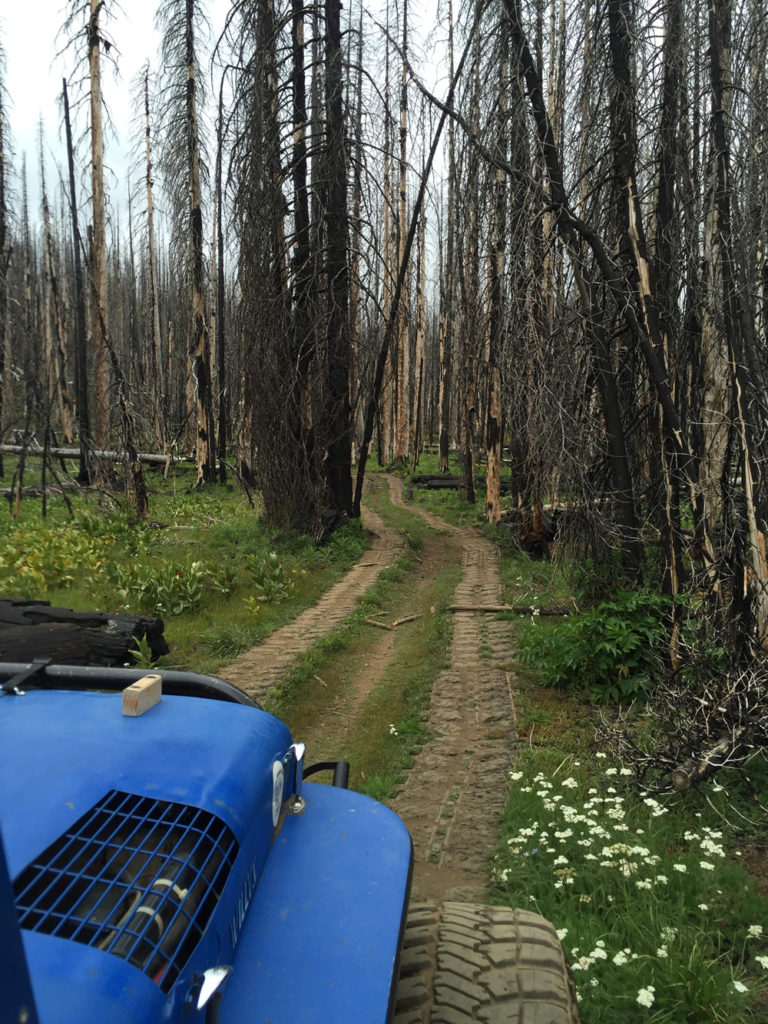 2016-07-07-jeeping-marty-tilford1