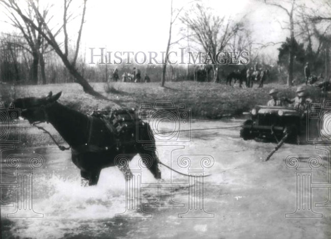 1941-03-24-brc-60-horse-pulling-1