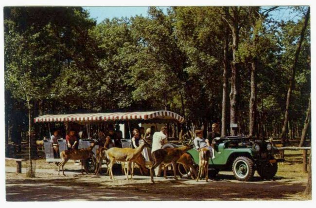 1965-wisconsin-dells-jeep-train-postcard1
