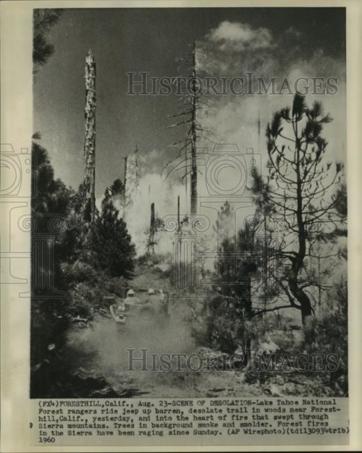 1960-08-25-jeep-tahoe-forest-fire1