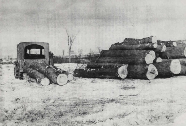 Scan10059-1947-01-20-stebbins-logging