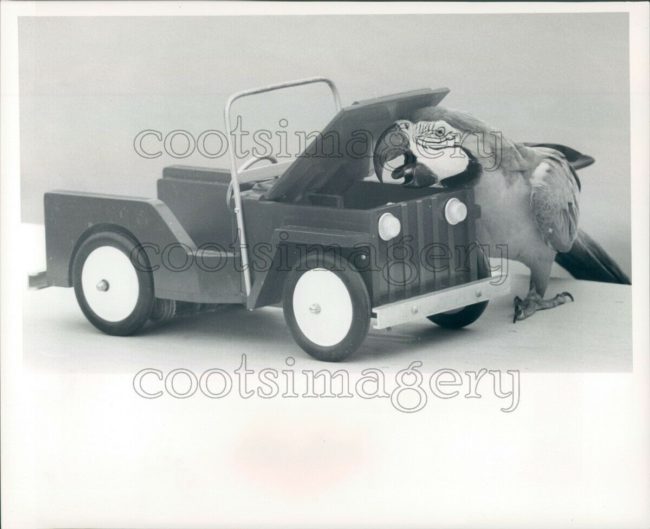 1967-macaw-toy-jeep1
