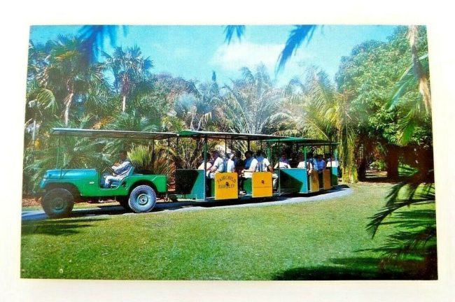 jeep-train-fairchild-gardens-postcard1