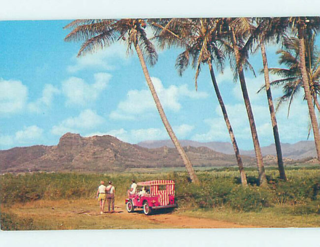 dj3a-hawaii-postcard1