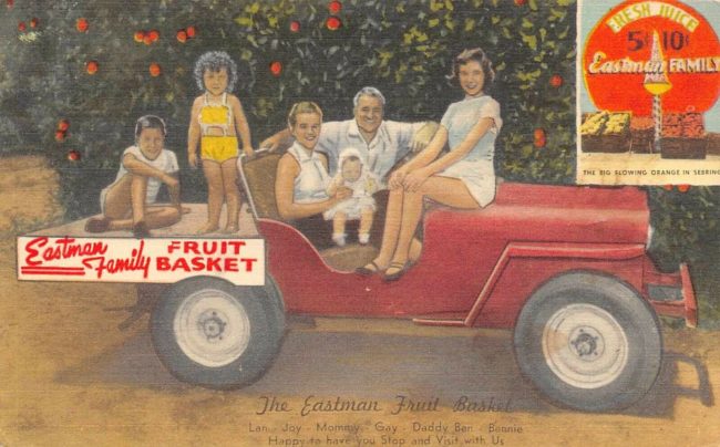 ben-eastman-fruit-basket-postcard-cj3a1