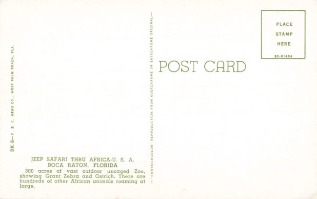 year-usa-africa-postcard8