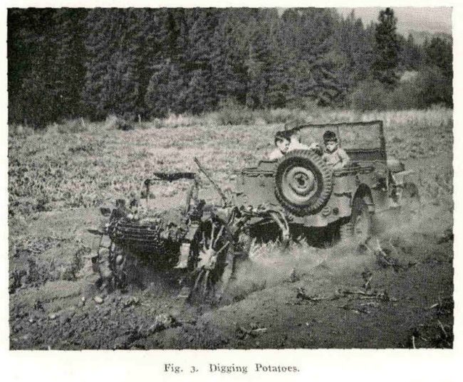 1942-05-27-digging-potatoes