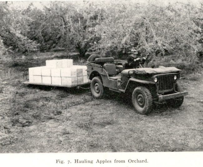 1942-05-27-hauling-apples