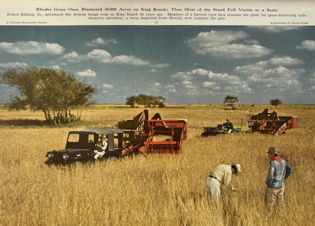 1952-01-nat-geographic-king-ranch-jeeps-photo1