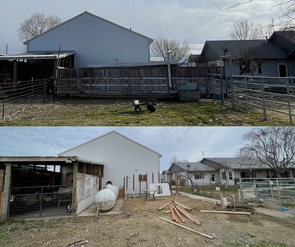Before-after-dove-shack-lores