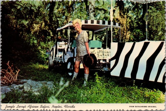 jungle-larry-safari-jane-cj5-postcard1