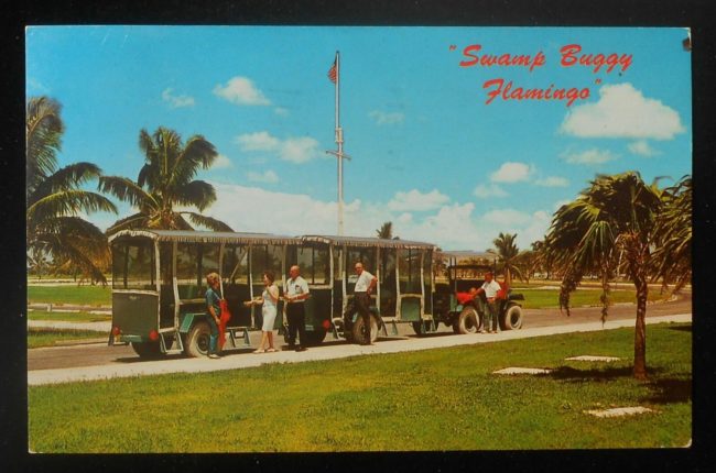 1967-swamp-buggy-florida-flamingo